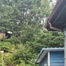 원동펜션 이미지