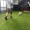 중앙공원1단계 스포츠지원센터1 | [경남 창원, 양산, 김해 K9 애견훈련소] 보호자 레슨 교육으로 반려견과 함께 성장해요!