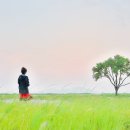 바람불어좋은날 - 강화군 해안남로65번길 45-9 | 바람불어좋은날
