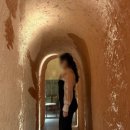 베테랑목장 이미지