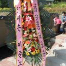 하초계 이미지