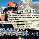 신비한 돈의 세계 이미지