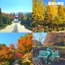 창원수목원공중화장실 | 창원 단풍 명소 창원수목원 아이와 주말 가을 나들이