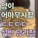 현대환경주식회사 | 설빙 당리점: 인절미빙수는 부산에서 양이 제일 많다고 감히 자부함 ( 내돈내산 )
