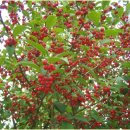 희망찬농장 이미지