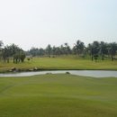 크리스탈 골프클럽 이미지