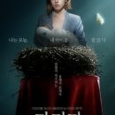 로지데이스튜디오