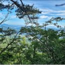 지장산 등산로 이미지