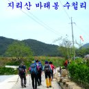 지리산국립공원 ㅡ바래봉 1165mㅡ 진달래 산행 ㅡ 4월 25일 ㅡ 5월 24일 철쭉 축제 기간ㅡ 이미지