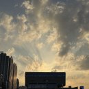 축구장 옆 | 숨은 명소 [노량진 축구장]에서 본 한화 서울불꽃축제 후기(2025년)_입장 시간, 팁