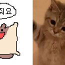 잉님 이미지