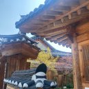 전주 고구마순 감자탕 육일식당 후기! 단일메뉴 해장국 맛집
