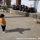 아라아띠펜션 이미지