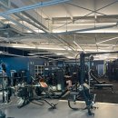 미녀와 야수짐 이미지