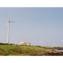 바람의 언덕 이미지