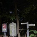 매봉산2 | 🌙 매봉산 정상 산스장 다녀온 후기｜금요일 저녁 8시, 조용한 야간 운동 코스
