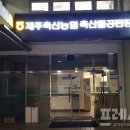 제주축산농협축산물공판장 이미지
