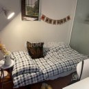 망고 스테이 이미지