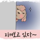 리메디 이미지