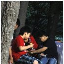 전북 장수 와룡자연휴양림... (2011.06.10~06.12)