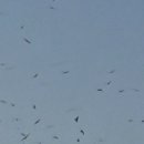 마포, 걷고싶은길 6코스 이미지