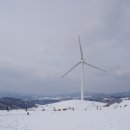 하늘목장 이미지