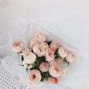 늘푸른화원 이미지