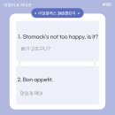 [리얼클래스 365챌린지 #101]피너츠 41일차 (not too happy, Bon appetit)
