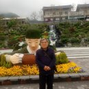 밀양초등학교 이미지
