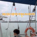 첫걸음 요트클럽 네이버블로그