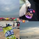 왕산해수욕장 | 인천 왕산해수욕장 물놀이 방문후기 🏖️