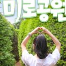 제주김녕한달 이미지