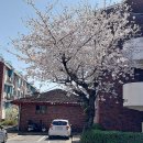 현대연립 이미지