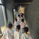 9월5주 - 💎 반짝반짝 광물체험, 베이니움에 다녀왔어요! - 1 이미지
