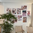 신사역 메종드그릭 / 캠핑 분위기 물씬 가로수길 그릭요거트 전문점