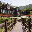 남해편백자연휴양림 이미지