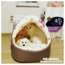 미요하우스 이미지