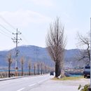 구리뜰막국수
