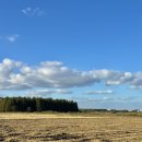 15단지 교차로 | 군산 옥녀교차로 11월 가을 포토존 주차 정보