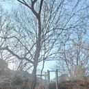 명창농장 이미지