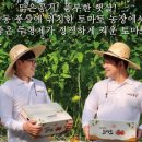 신양로(풍산읍) Daum카페