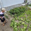 동산원광유치원 이미지