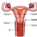 온기담은한의원 네이버블로그