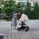 하이베베 이미지