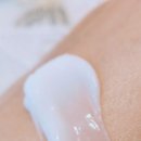 스와니브 이미지