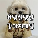 댕실댕실 | [댕실댕실] 탄이를 위한 강아지 패딩 겨울준비 완료!!