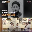 진성플러스 이미지