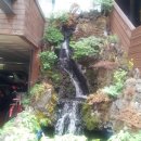 효소명가 이미지