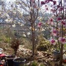 육식인생 이미지