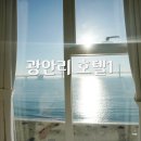 함열고등학교 | [부산여행] 광안리 호텔1 내돈내산 솔직 이용후기